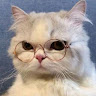 Profile picture of ณัชพล สิทธิไชย